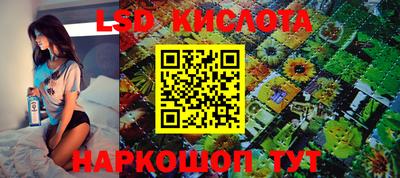 эйфоретик Кингисепп