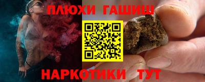 эйфоретик Кингисепп