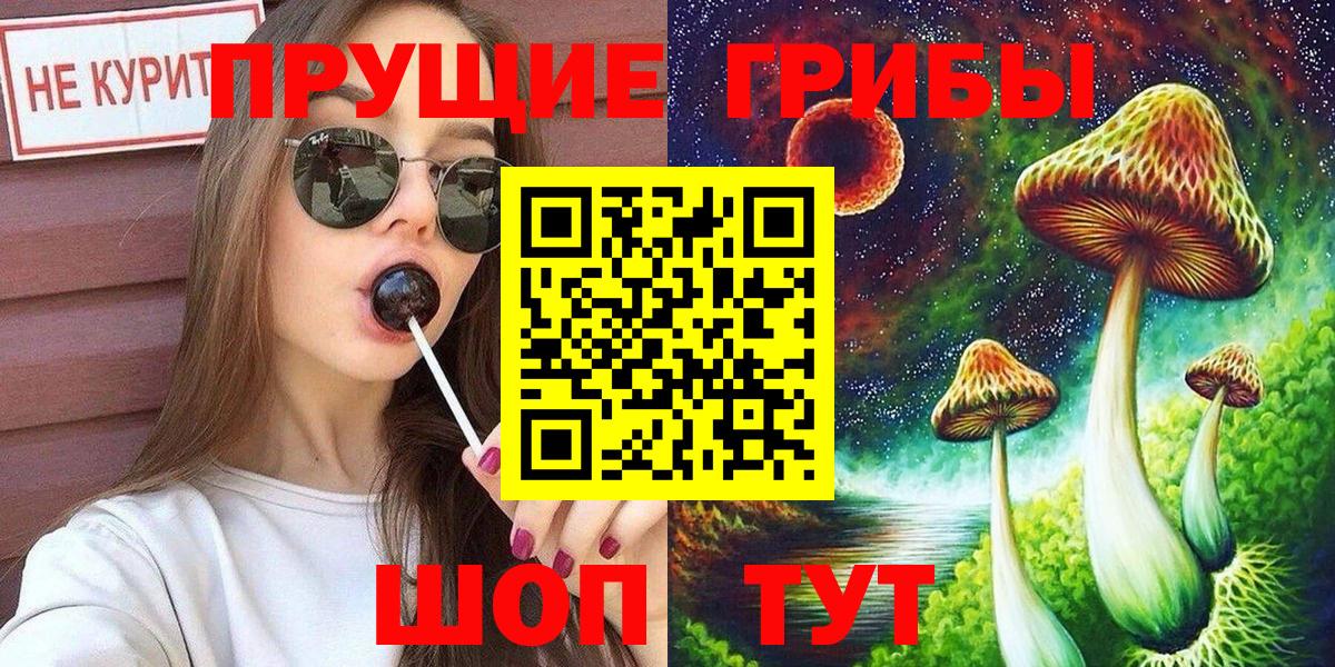 Псилоцибиновые грибы Cubensis Королёв