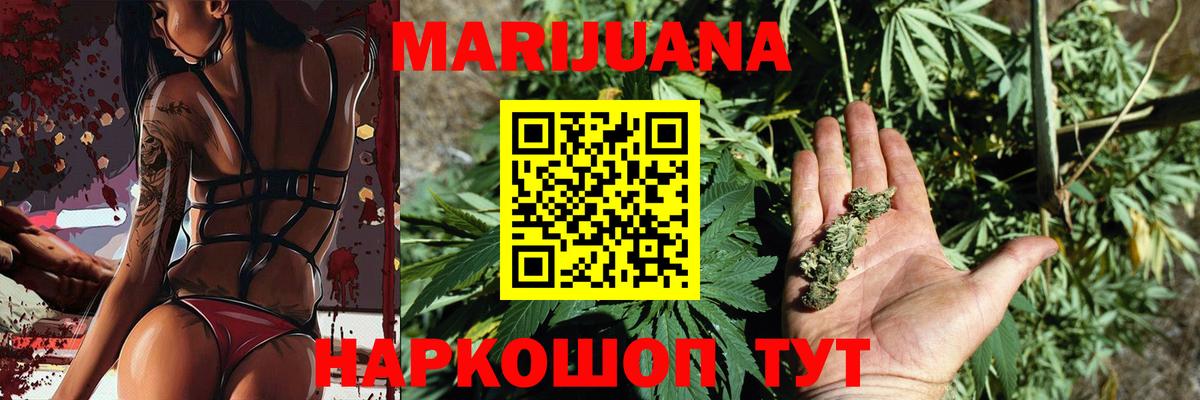 Бошки Шишки ГИДРОПОН Королёв
